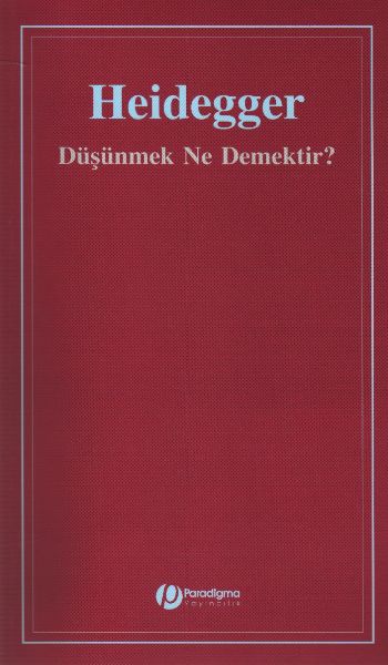 Düşünmek Ne Demektir?